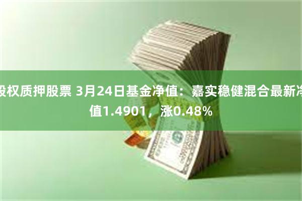 股权质押股票 3月24日基金净值：嘉实稳健混合最新净值1.4901，涨0.48%