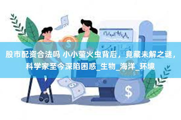 股市配资合法吗 小小萤火虫背后，竟藏未解之谜，科学家至今深陷困惑_生物_海洋_环境