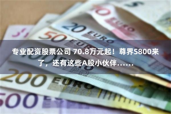 专业配资股票公司 70.8万元起！尊界S800来了，还有这些A股小伙伴……
