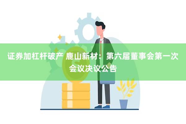 证券加杠杆破产 鹿山新材：第六届董事会第一次会议决议公告