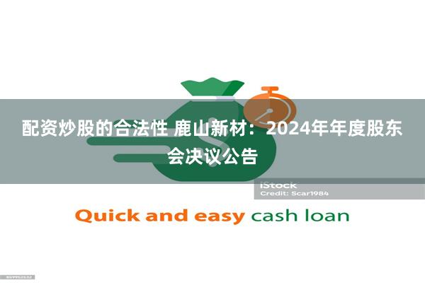 配资炒股的合法性 鹿山新材：2024年年度股东会决议公告