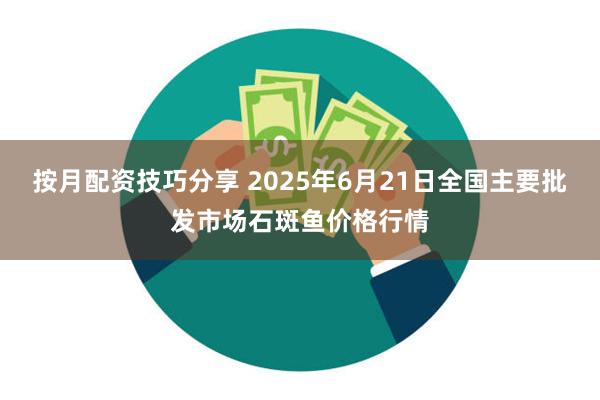 按月配资技巧分享 2025年6月21日全国主要批发市场石斑鱼价格行情