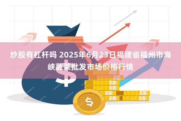 炒股有杠杆吗 2025年6月23日福建省福州市海峡蔬菜批发市场价格行情