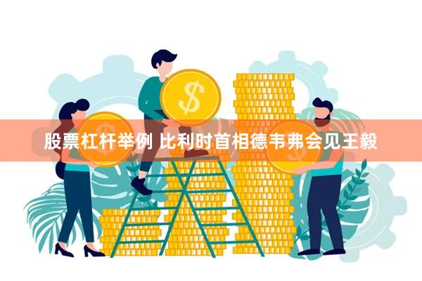 股票杠杆举例 比利时首相德韦弗会见王毅